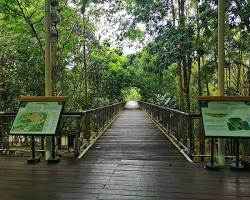 Image of Putrajaya Botanical Garden Putrajaya
