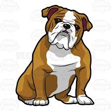 Image result for bulldog cartoon