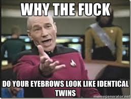WHY THE FUCK DO YOUR EYEBROWS LOOK LIKE IDENTICAL TWINS - star ... via Relatably.com