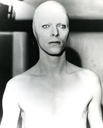 Image result for Bowie