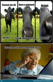 Cows+Granny=Meme by cantering - Meme Center via Relatably.com
