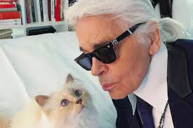 "The Mystique of Mr. Lagerfeld Unmasked: A Revealing Review"