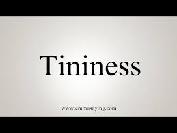 Image result for tininess