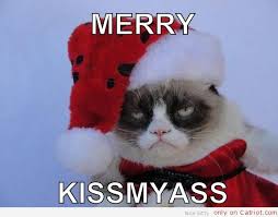 Memes Vault Christmas Grumpy Cats via Relatably.com