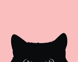 Black Cat iPhone Wallpaper