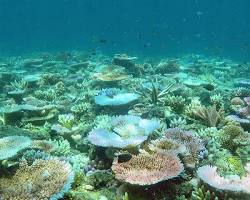 Lizard Island, Great Barrier Reef, Australia