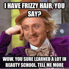 I HAVE FRIZZY HAIR, YOU SAY? WOW, YOU SURE LEARNED A LOT IN BEAUTY ... via Relatably.com
