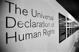 Image result for universal declaration of human rights logo