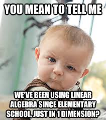 you mean to tell me we&#39;ve been using linear algebra since ... via Relatably.com