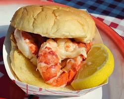 Image of Lobster roll from Cape Porpoise seafood shack, Maine