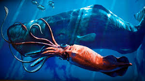 Resultado de imagen de calamar gigante