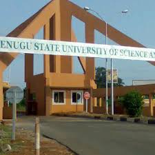 Image result for images of tertiary institution main gates