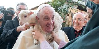 Image result for image of pope francis