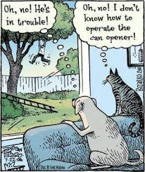 Image result for funny cat cartoons