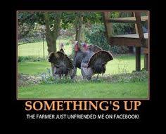 Funny Thanksgiving on Pinterest | Funny Thanksgiving Pictures ... via Relatably.com