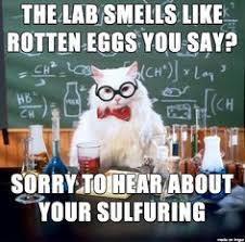 Chemistry Cat on Pinterest | Science Jokes, Chemistry Jokes and ... via Relatably.com
