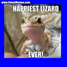 Happiest Lizard Ever | Clean Memes – The Best The Most Online via Relatably.com