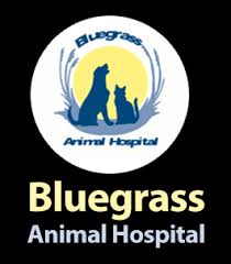 Parassite Contol | Veterinarian in Knoxville, TN | Bluegrass Animal ...