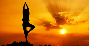 Image result for photos of yoga in the sunshine