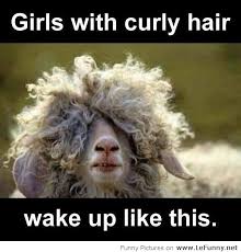 Girls-with-curly-hair-are-funny-in-the-morning.jpg via Relatably.com