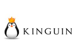 75% Off Kinguin Discount Codes January 2022