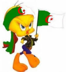 Résultat de recherche d'images pour "algerie drapeau"