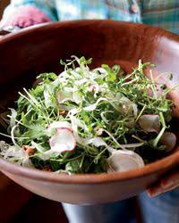 Pea Shoot and Arugula Salad with Radishes and Hazelnuts Recipe ...