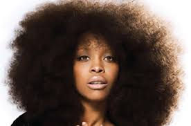 By Gregory AdamsWhile just last month soul queen Erykah Badu premiered a mixtape under the name DJ Lo Down Loretta Brown, it appears as if the singer has ... - badu2