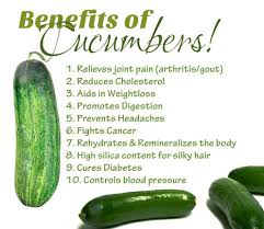 Résultat de recherche d'images pour "how many calories in 1 cucumber"