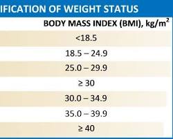World Health Organization (WHO) BMI Calculator