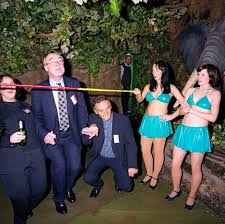 Image result for politician doing the limbo dance