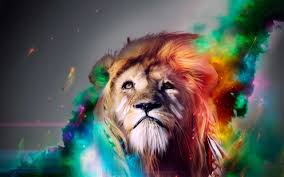 Image result for lion with rainbow mane