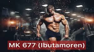 MK677 Review: Unveiling Ibutamoren's Side Effects, Benefits, Dosage, and its Impact on Muscle Growth and Performance - 1