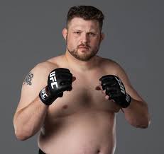 Image result for Roy Nelson UFC
