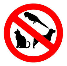 Image result for no pets allowed