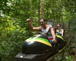 Gambar lush rainforest in Jamaica