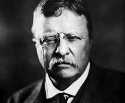 Image result for -Theodore Roosevelt