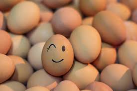 Image result for eggs