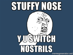Stuffy nose y u switch nostrils - Y U No | Meme Generator via Relatably.com