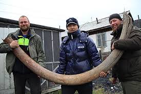 Image result for Giant Woolly Mammoth