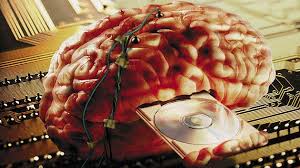 Resultado de imagen de imagenes de cerebro humano