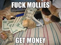 Fuck Mollies Get Money - Pimp Cat - quickmeme via Relatably.com