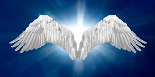 Image result for images of angels