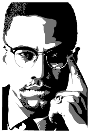 Image result for malcolm x  images