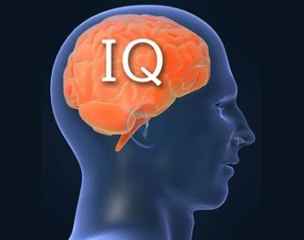 Mengutuk Hasil Nilai IQ