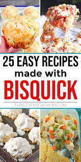 25+ Easy Delicious Recipes Made with Bisquick- Thrifty Frugal Mom