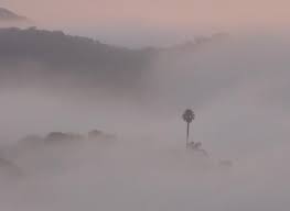 Image result for feeling foggy and out of it