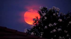 Image result for scary images of full moon