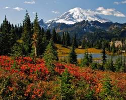 Mount Rainier National Park, Washington, fall portrait
