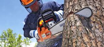 Image result for chainsaw